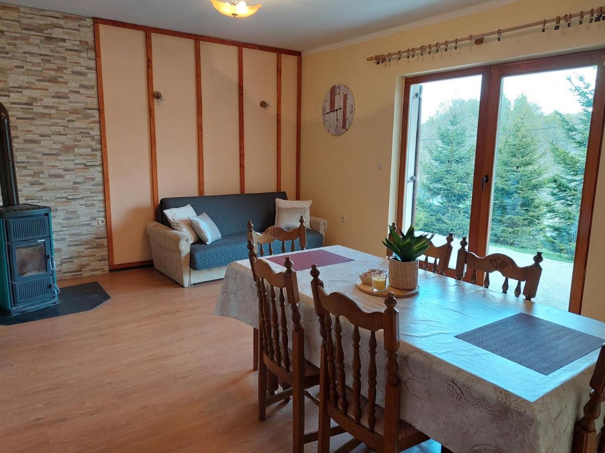 Holiday Home Cancarevic Ravna Gora Kültér fotó