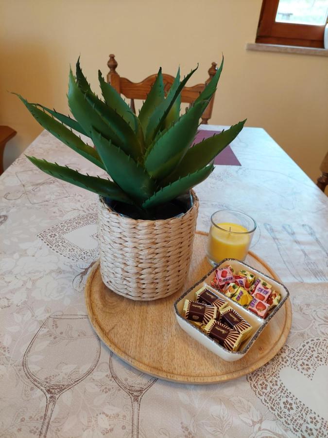 Holiday Home Cancarevic Ravna Gora Kültér fotó