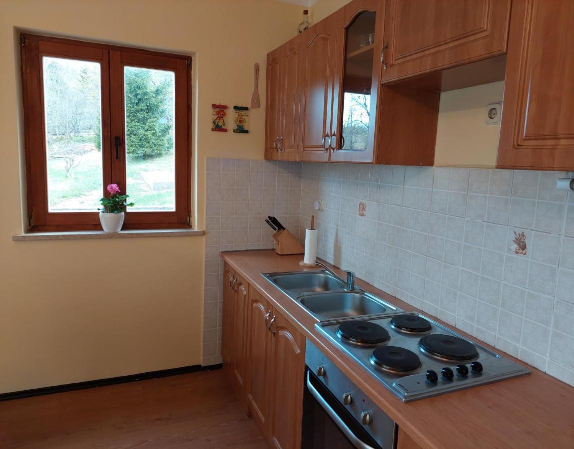 Holiday Home Cancarevic Ravna Gora Kültér fotó