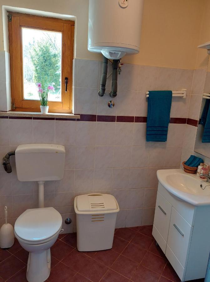 Holiday Home Cancarevic Ravna Gora Kültér fotó