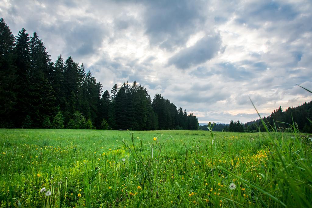Holiday Home Cancarevic Ravna Gora Szoba fotó